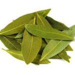 Bay Leaf